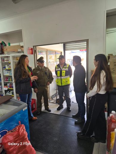 Fiscalización y acciones preventivas se desarrollan en Maullín