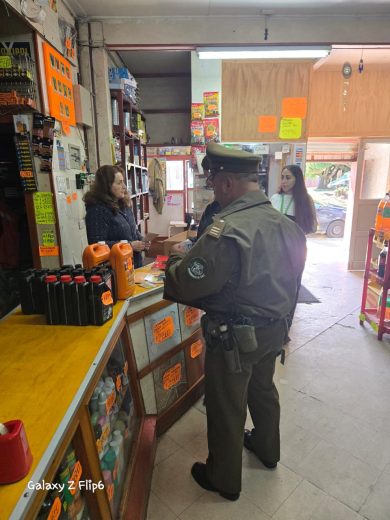 Fiscalización y acciones preventivas se desarrollan en Maullín