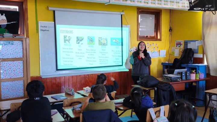 Liceo de Melinka realizó una serie de talleres