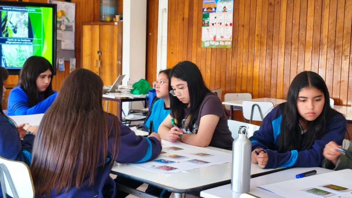 Liceo de Melinka realizó una serie de talleres